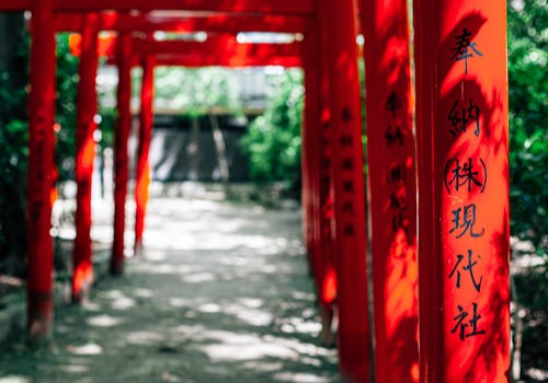 《今生与谁 安然走过红尘轮回—顾太清词传》