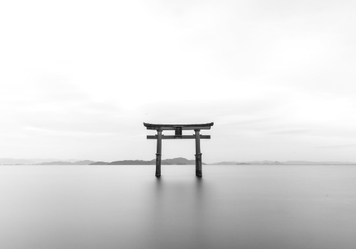 《唐诗的巅峰》