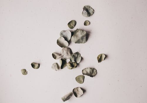 《予你一世，温暖向阳》